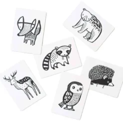 Cartes imagier animaux - animaux forêt