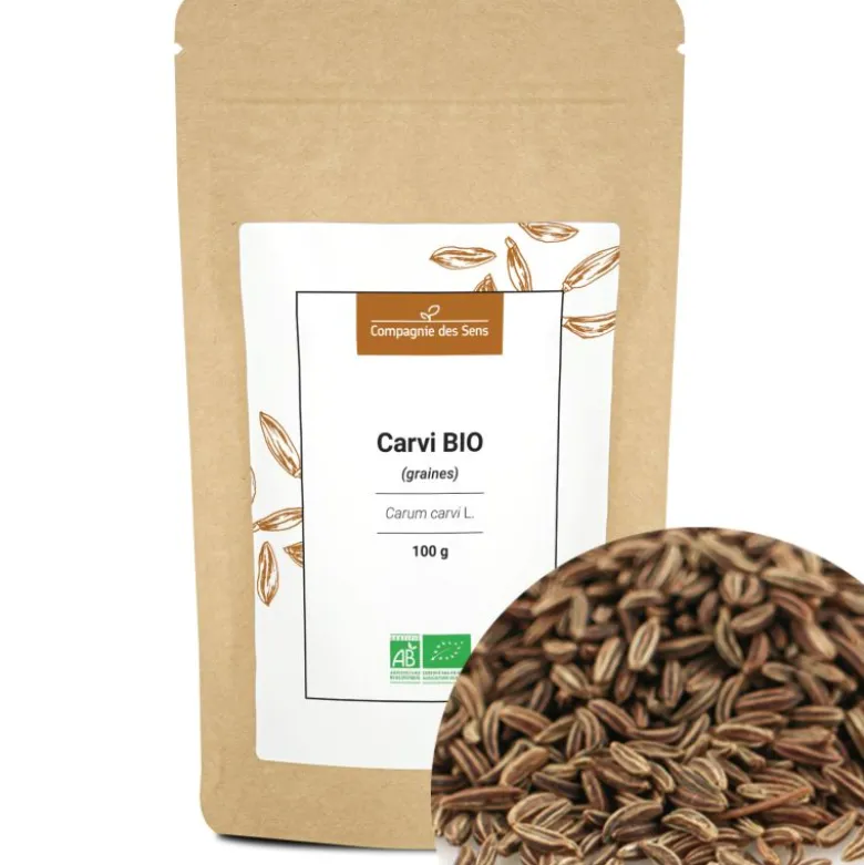Carvi bio - 100g - graines entières