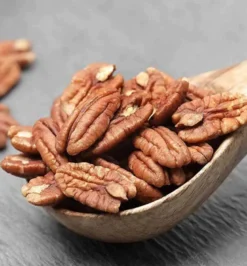 Carya noix de noix de pecan 15 l 140-160 cm