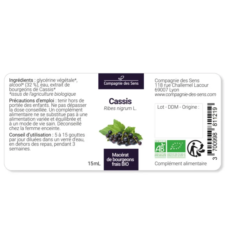 Cassis bio - 15ml (ribes nigrum) – macérat concentré de bourgeons frais 15