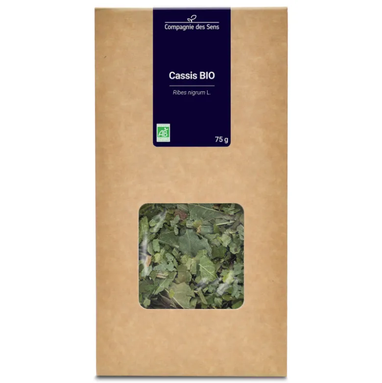 Cassis (feuilles) - tisane bio - 75g