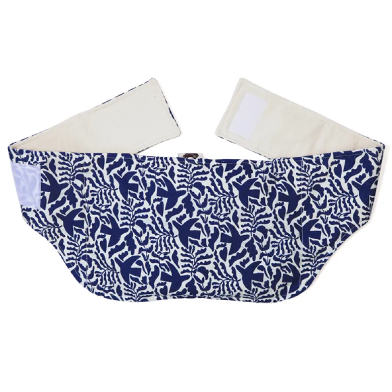 Ceinture chauffante graines de lin