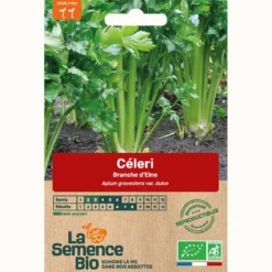 Celeri branche vert d'elne bio