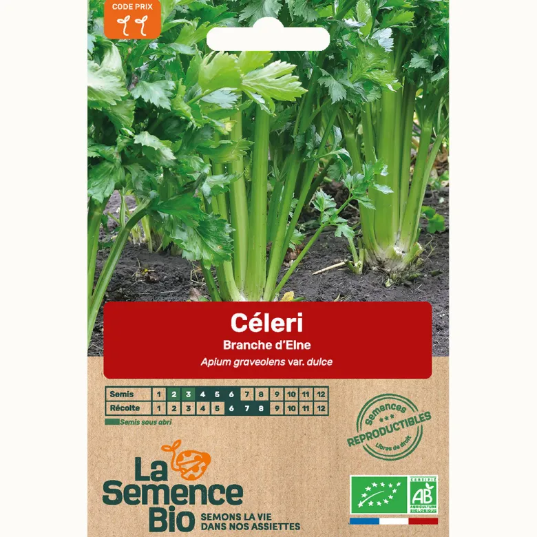 Celeri branche vert d'elne bio