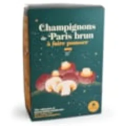 Champignons de Paris à faire pousser
