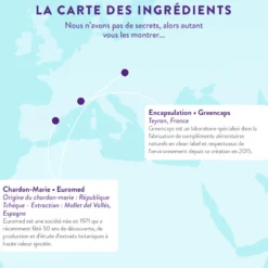 Chardon-marie bio - détox - 1 mois