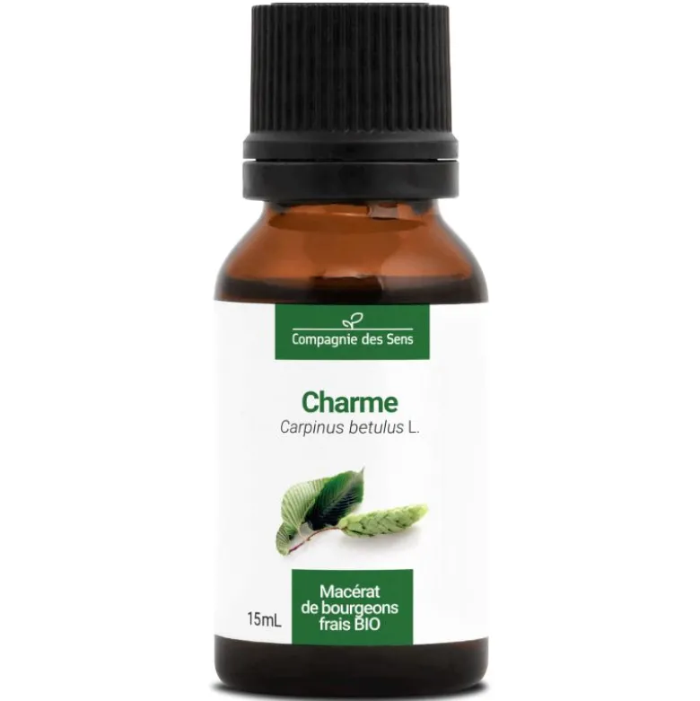 Charme bio - 15ml (carpinus betulus) – macérat concentré de bourgeons frais 15