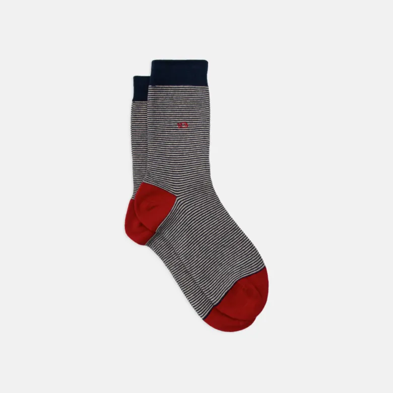 Chaussettes rayées 33