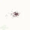 Chou kale roter krauser bio