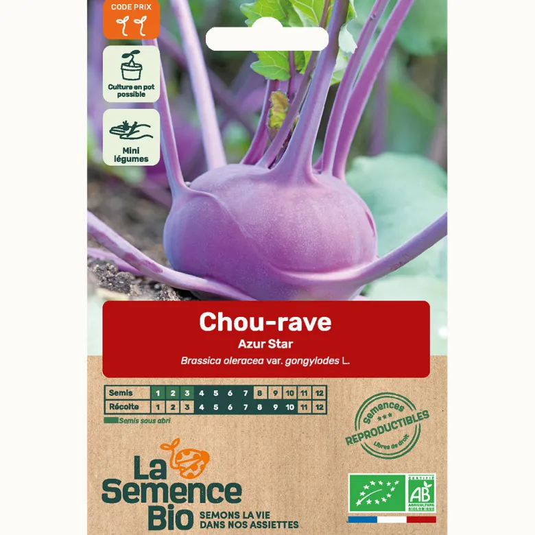 Chou rave azur star bio