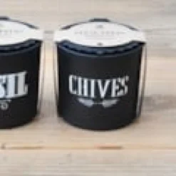 Ciboulette pot suspendu