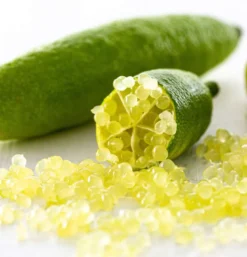 Citron caviar pulpe jaune 9 l -140-160 cm