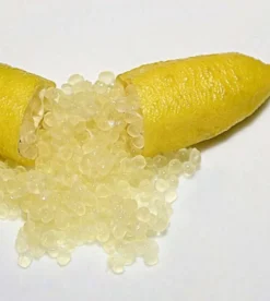 Citron caviar pulpe jaune 9 l -140-160 cm