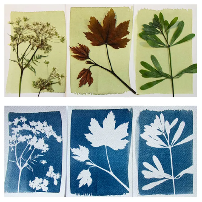 Coffret complet découverte Cyanotype