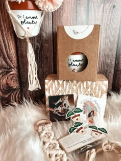 Coffret de l'amour à planter – cadeau plantes & macramé