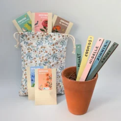Coffret festin des oiseaux