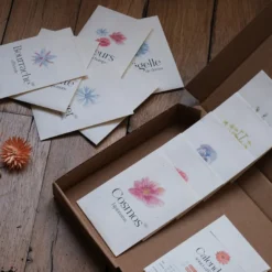 Coffret fleurs • 12 sachets de graines