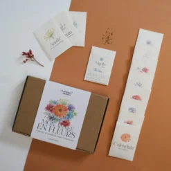 Coffret fleurs • 12 sachets de graines