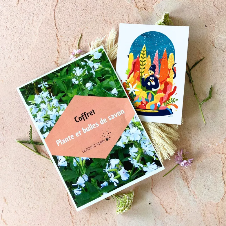 Coffret jardinage diy savon graines