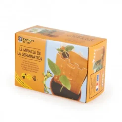 Coffret le miracle de la germination