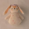 Coffret naissance émotions lapin