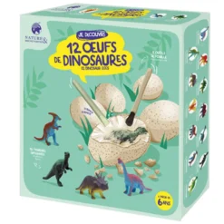 Coffret 12 œufs de dinosaures