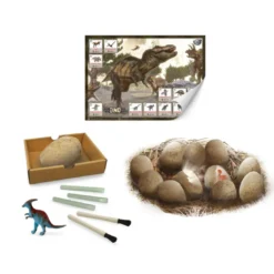 Coffret 12 œufs de dinosaures