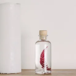 Coffret un brin d'espièglerie