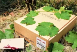 Coffret vins le sommelier