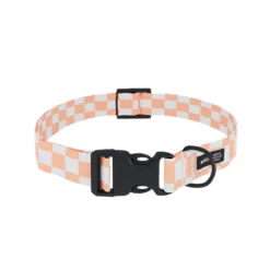 Collier pet recyclé xs - orange