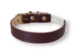 Collier pour chat acinonyx jubatus by maurice en cuir - taille 2 - aubergine