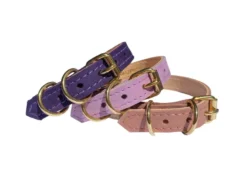Collier pour chat panthera uncia by maurice en nubuck - taille 2 - violet