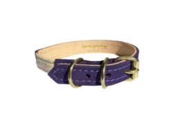 Collier pour chat panthera uncia by maurice en nnubuck - taille 1 - violet