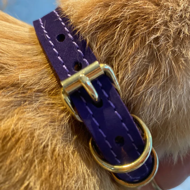Collier pour chat panthera uncia by maurice en nnubuck - taille 1 - violet