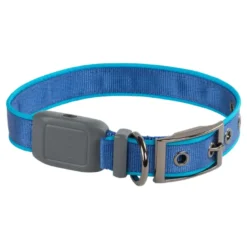 Collier pour chien lumineux rechargeable