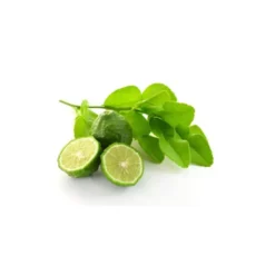 Combava (citrus hystrix) - huile essentielle bio - 10ml garantie chromacert® - c