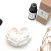 Concentré de parfum pour plâtre freesia
