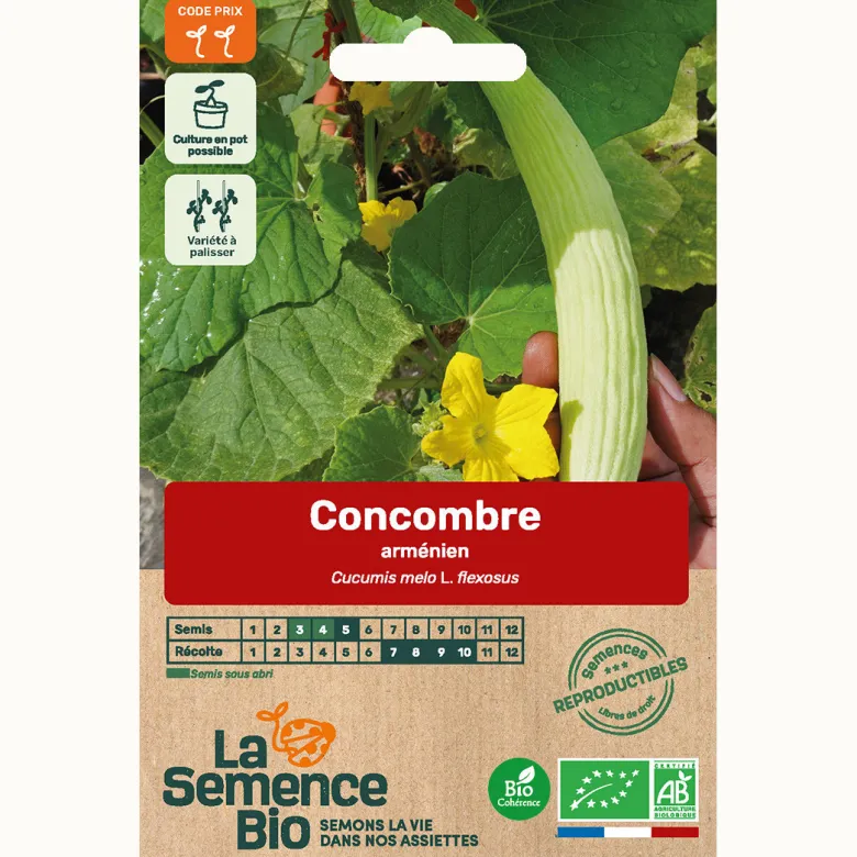 Concombre arménien bio
