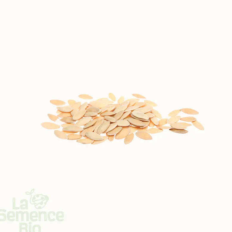 Concombre arménien bio