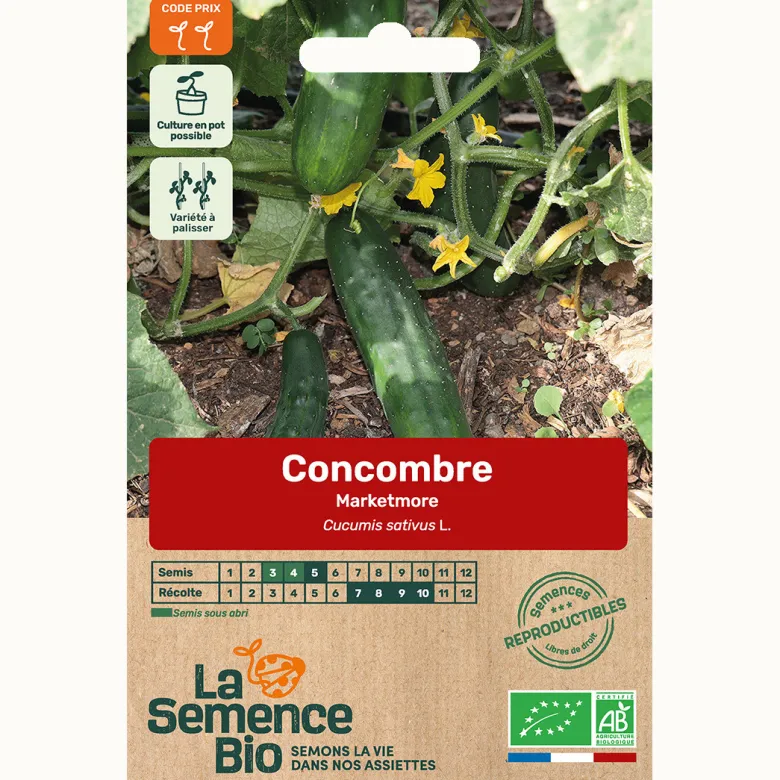 Concombre marketmore bio