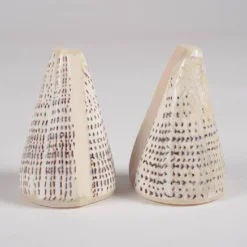 Cone - duo salière et poivrier en coquillage naturel - 6.5 à 9.5cm