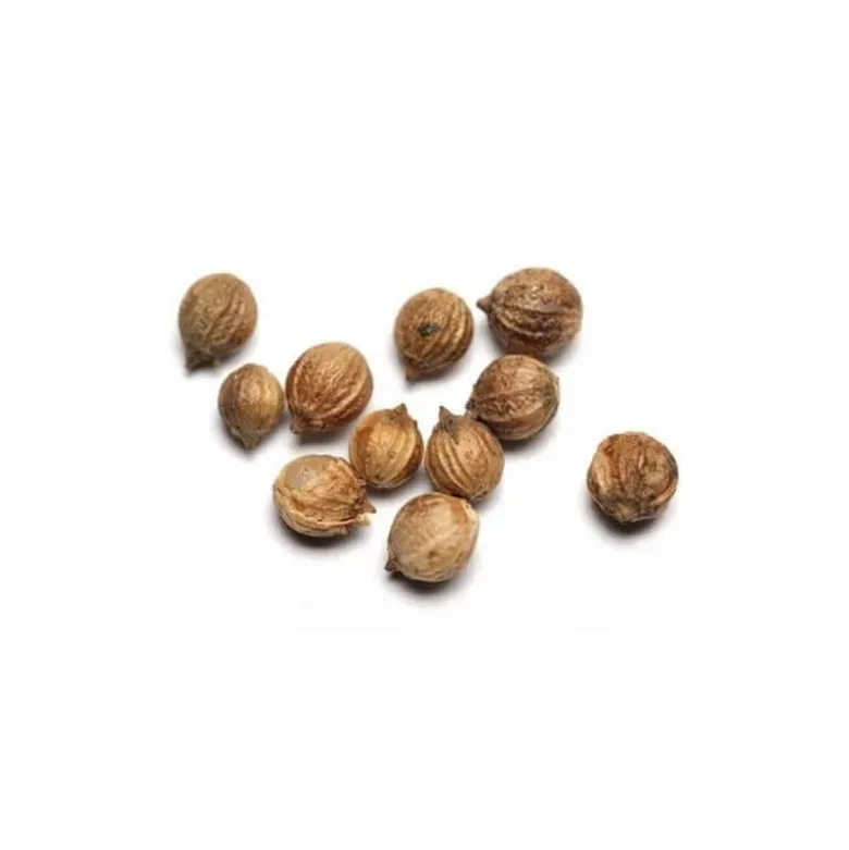 Coriandre graines - huile essentielle bio - 5ml garantie chromacert® - chémotypé