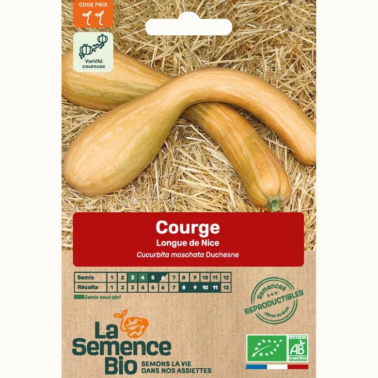 Courge longue de nice bio