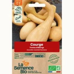 Courge tromba d'albenga bio