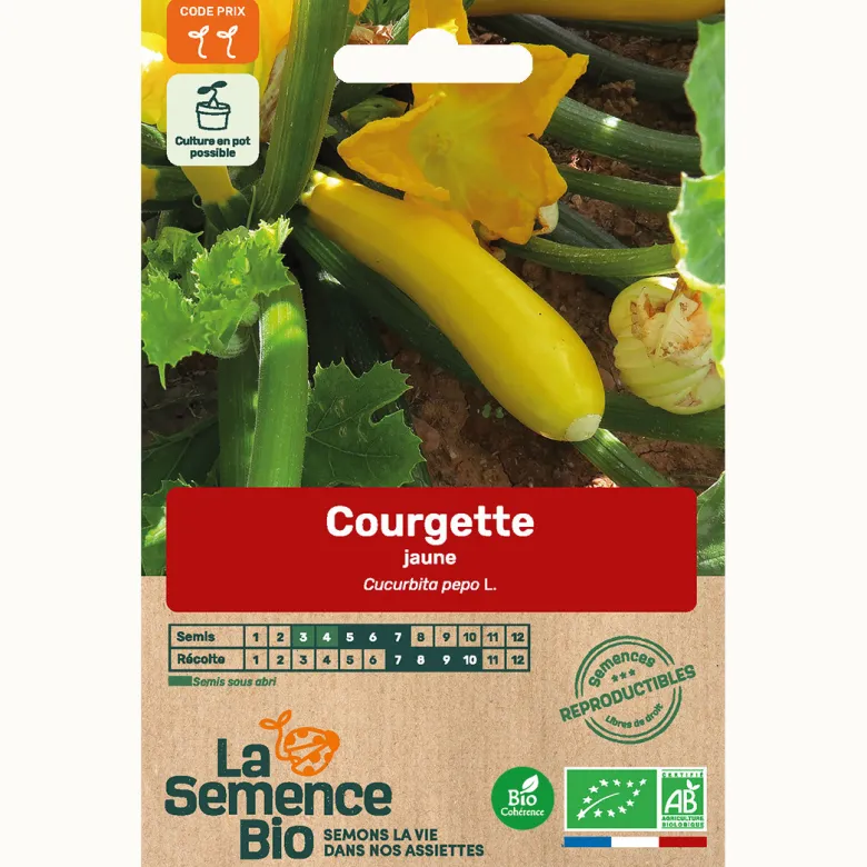 Courgette gold rush bio
