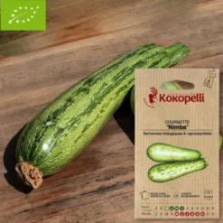 Courgette nimba- graines bio à semer