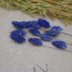 Couronne fleurs bleu-or- kit diy