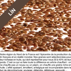 Coussin des kinés - graines de lin