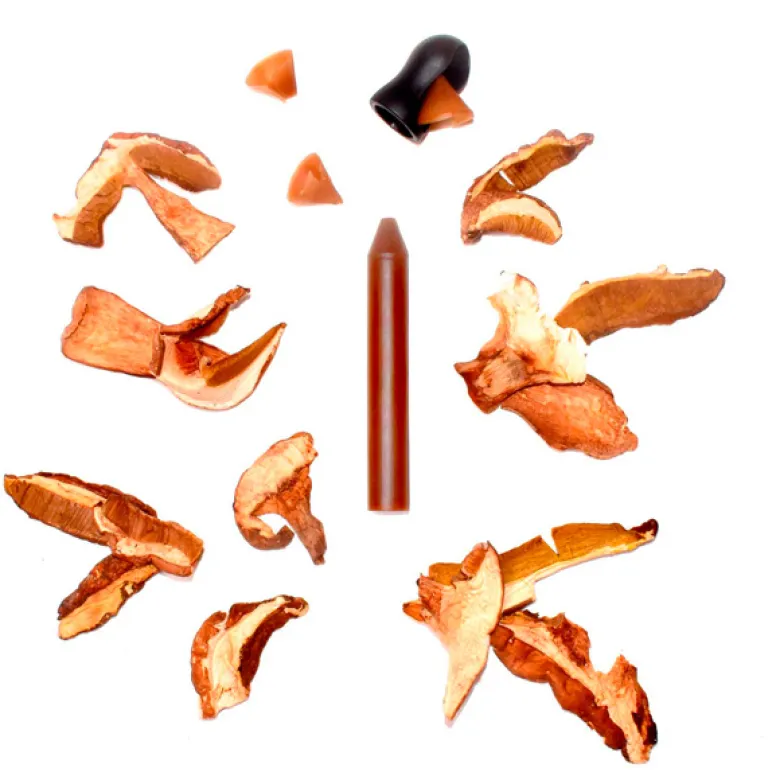 Crayon d'assaisonnement à tailler cèpe