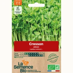 Cresson alénois bio